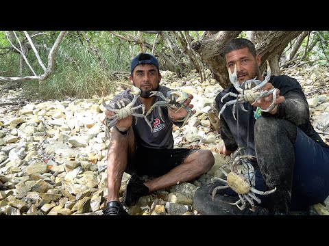 Pesca Y Cocina De Langosta Y Cagrejo Azul