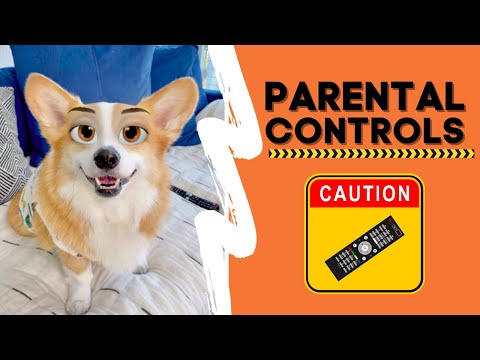 Parental Controls #shorts