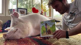 Storytime with Esther T.W. Pig: Brenda’s Beaver Needs a Barber