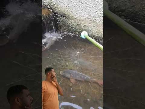 Testing fish puller #test #fishing #fishinglife #pesca