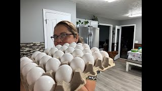 Puro huevos vamos a comer