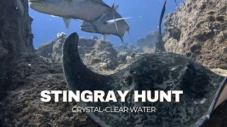 STINGRAY HUNTING with KINGFISH