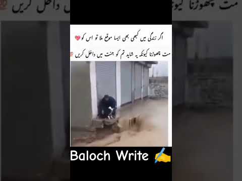 Respect ❤️ || Today Best Video #trending #trendingshorts #video #viralvideo #viralshorts #explore