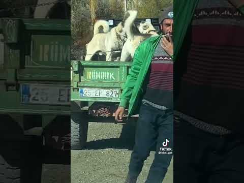 Dağda Operasyon öncesi hazırlık
