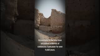 Jericho - the oldest city in the world #Jericho#OldestCity#AncientHistory#Archaeology#TravelVlog