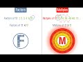 Exploring Factors and Multiples for Grade 4