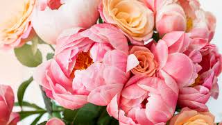 Flower Chat:  Flowers New and Tips