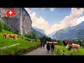 Exploring Switzerland's Natural Wonders
