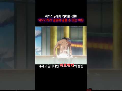 아카이누에게 다리를 썰린 아오키지가 멀쩡히 걸을 수 있는 이유 #onepiece #원피스