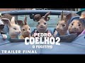 Características e Sentimentos de Pedro