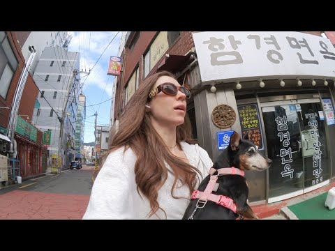 Goodbye, Korea ❤️‍🩹 feeling ALL the emotions, picnics, beauty appointments, last days