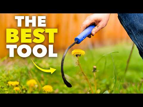 The Genius Tool that Removes Weeds Instantly