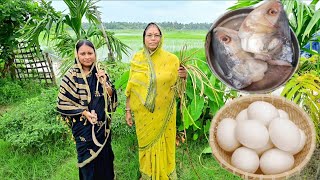 বাগান থেকে কচুরলতি তুলে ইলিশমাছের মাথা দিয়ে রান্না করলাম সাথে ডিম পোস্ত আর দুপুরে খাওয়া দাওয়া
