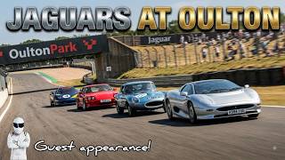 Jaguars at Oulton - Cheshire Cats