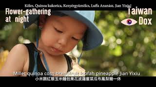 Virággyűjtés az éjszakában / Flower-gathering at night - Taiwan Dox 2024 - trailer