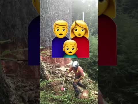 Falling Tree😨 #viralvideo