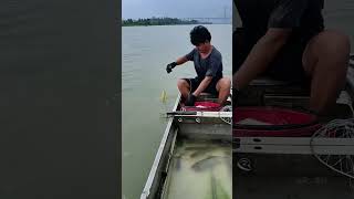 Daily Line Fishing in river at home #fishing #fishingvideo #linefishing #fishingtips