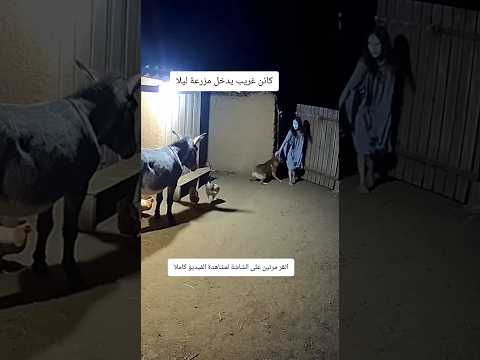 كائن غريب يدخل مزرعة ليلا #رعب #ماوراءيات #رعب_حقيقي_لو_شفت_الفيديو😨😨