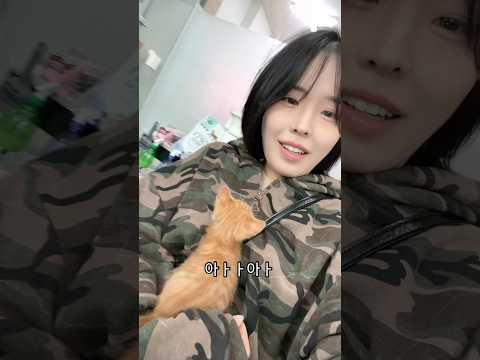 저…집사됐습니다🐈💖