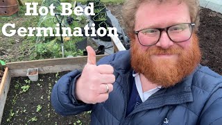 Hot Bed Seedling Germination Update