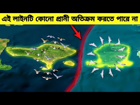 কেন কোনো প্রানী এই লাইনটি অতিক্রম করতে পারে না।#viral#mayajal