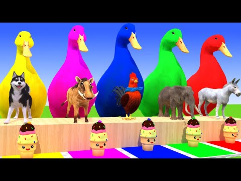 5 Giant Duck Cartoon, Cow, Elephant, Tiger, Dinosaur, Paint Wild Animals Crossing Fountain Animation