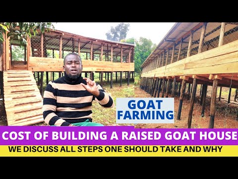 How To Construct a Modern Goat House in 2024