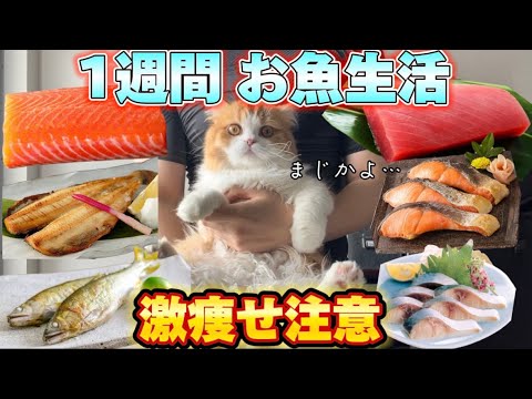 1週間お魚生活したら体重何kg体重痩せるの？【ダイエット】