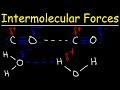 Exploring Intermolecular Forces and Their Impact on Boiling Point and Solubility