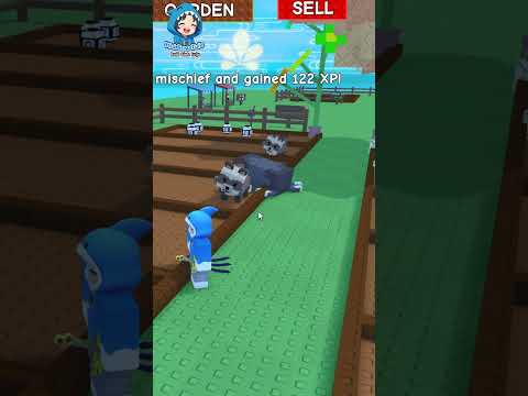 Hidding và Pet Tanuki đột biến Zombified Grow A Garden #growagarden #roblox