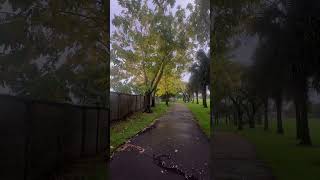 #buenisimo #inicio #de #semana 🌧️🌳🌼😮‍💨@cornelioramos5322 ✌🏼👍🏻