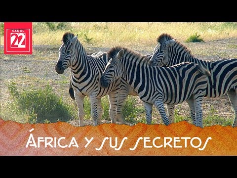 África, continente enigmético. África y sus secretos