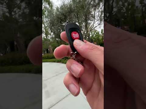 Hands off my car. How to use HornGun to keep selfie lovers away from your car 🚗