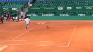 Novak practicing with his dog Tesla