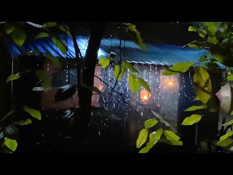 ⚡ 수면을 위한 밤 뇌우 소리 | 밤, 낡은 집의 폭우와 강렬한 천둥소리