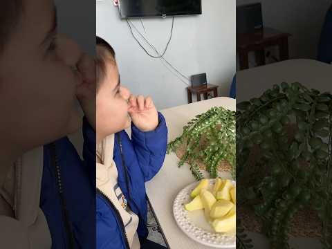 Sen olsan hangisini yerdin