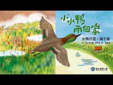 【台江】小水鴨兩個家(臺語版) 繪本影音動畫 - YouTube