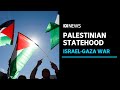 Australian Government's Stance on Palestinian Statehood
