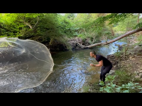 DEREDE SERPME BALIK AVI TUT YAKALA PİŞİR - Creek Fishing Fish Cooking