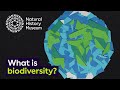 Understanding Biodiversity and Ecosystems