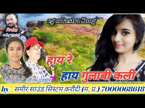 हाय रे हाय गुलाबी कली || प्रीतम पड़वार, रिया पड़वार || cg orkestra Song || समीर साउंड सिस्टम करौंदी