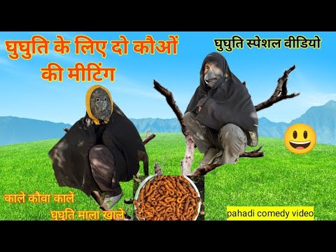 घुघुति में कौओं की स्पेशल डिमांड 😃 इस बार घुघुति में आयेंगे स्पेशल कौवे! pahadi comedy video.