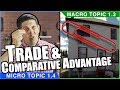 Exploring Comparative Advantage and Trade Dynamics