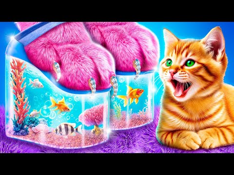 Construímos um Beliche para Gatos!