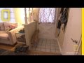 Understanding Dog Behavior and Training