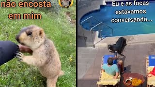 Compilado de DUBLAGENS de ANIMAIS ENGRAÇADOS | ANIMAIS FALANTES