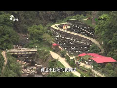 6   我們的島 第707集 源水污染地圖 (2013-5-20) - YouTube(18分27秒)