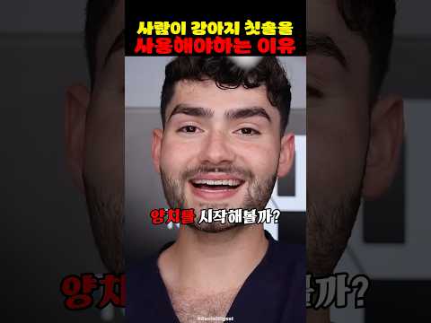 사람이 강아지 칫솔을 사용해야하는 이유