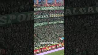 Konyaspor senkronize Ordusu 💚