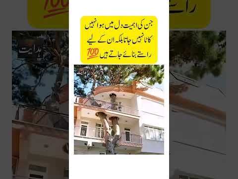 jiski ehmiat dil mai ho/#shorts #inspiration #motivation #ehmiyat #youtubeshorts